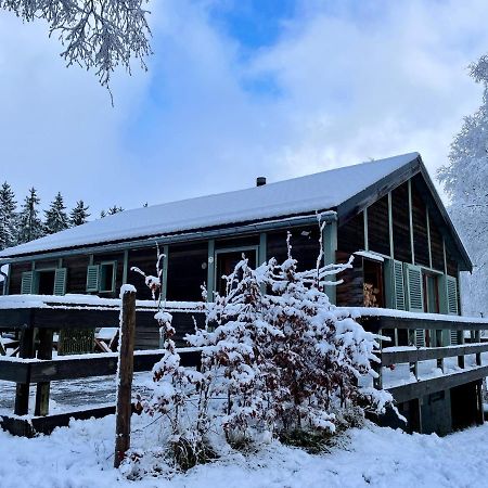 Chalet De Charme, Le "Caribou Lodge", Eifel Belge 比林根 外观 照片