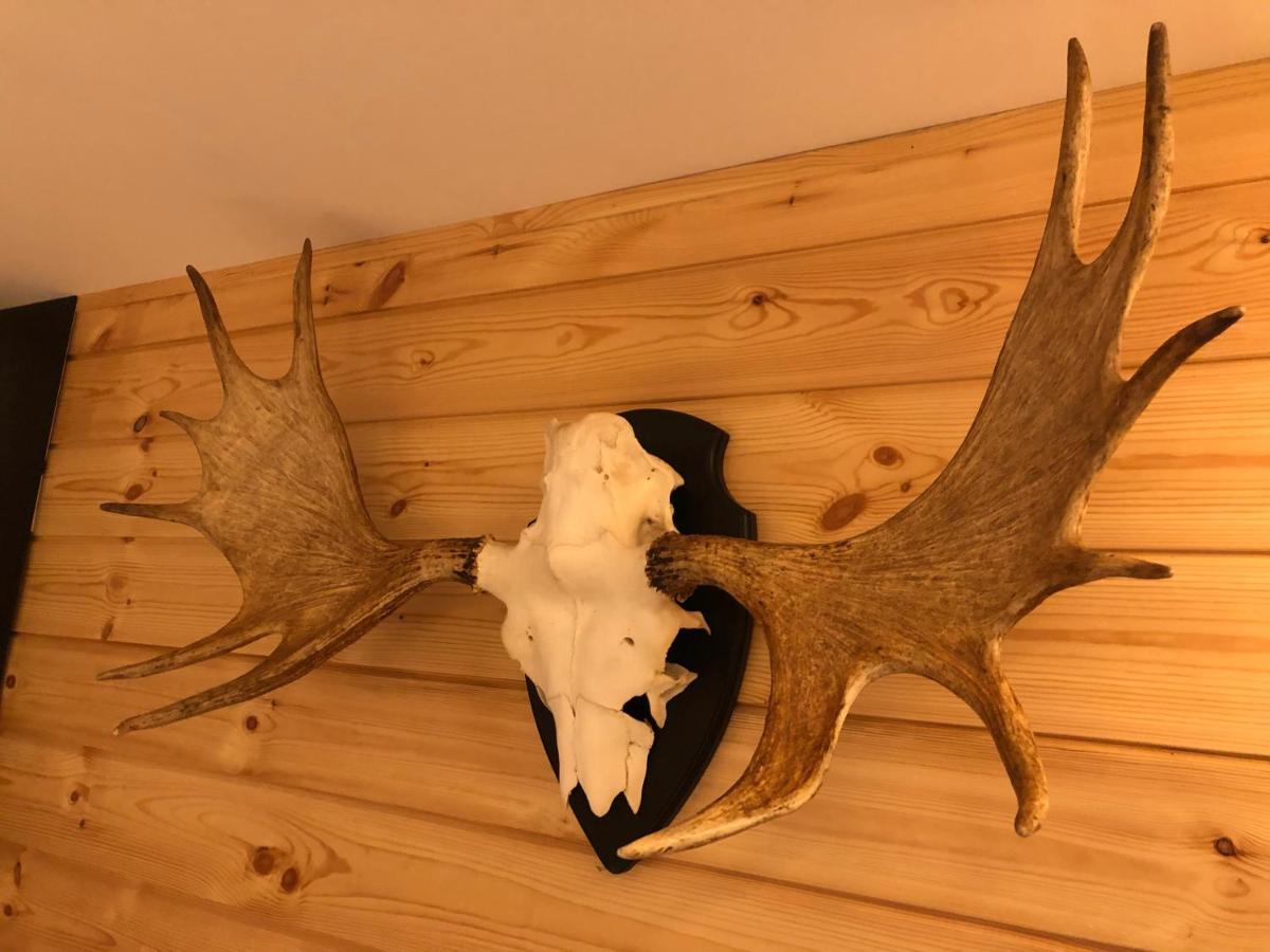 Chalet De Charme, Le "Caribou Lodge", Eifel Belge 比林根 外观 照片