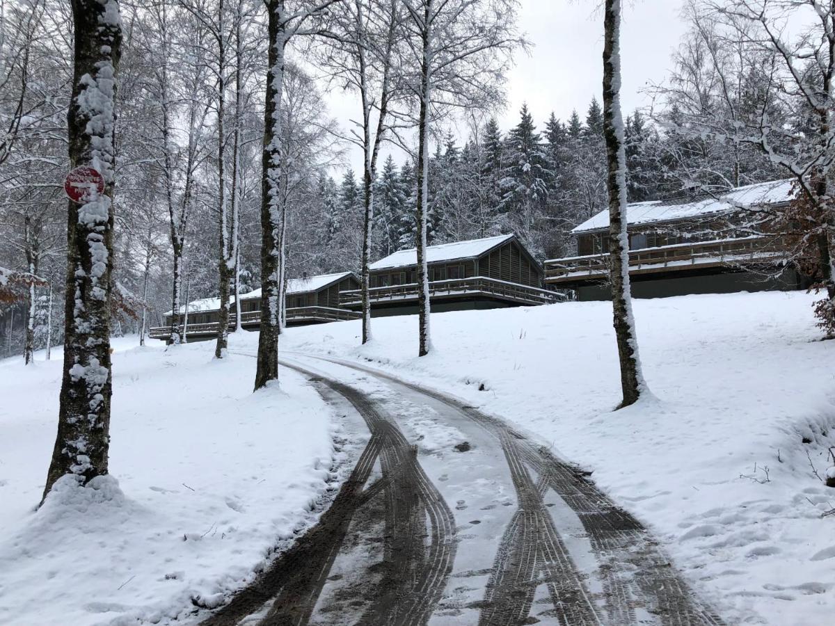 Chalet De Charme, Le "Caribou Lodge", Eifel Belge 比林根 外观 照片