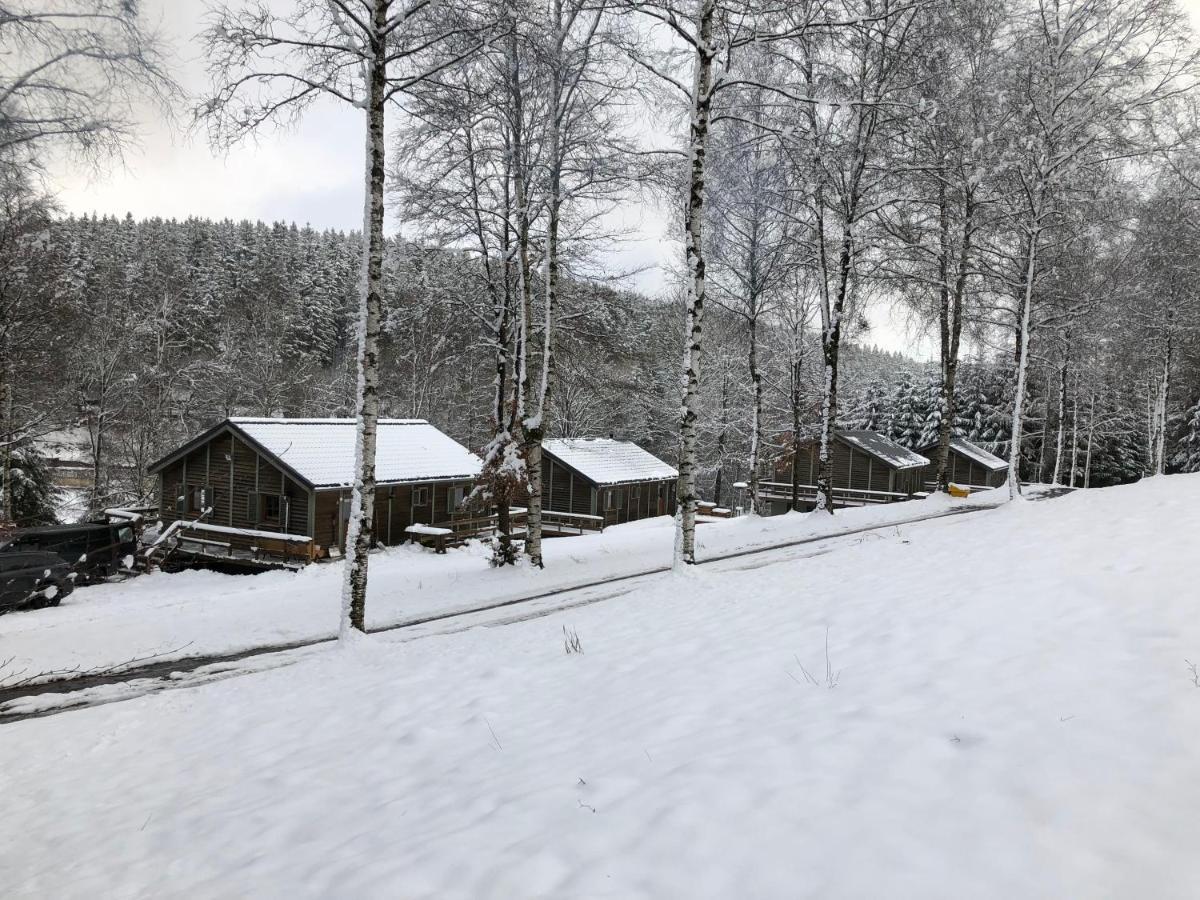 Chalet De Charme, Le "Caribou Lodge", Eifel Belge 比林根 外观 照片