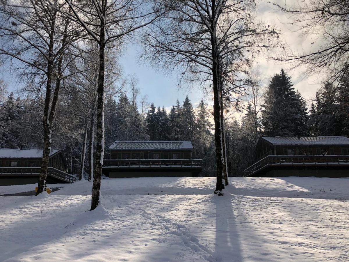 Chalet De Charme, Le "Caribou Lodge", Eifel Belge 比林根 外观 照片