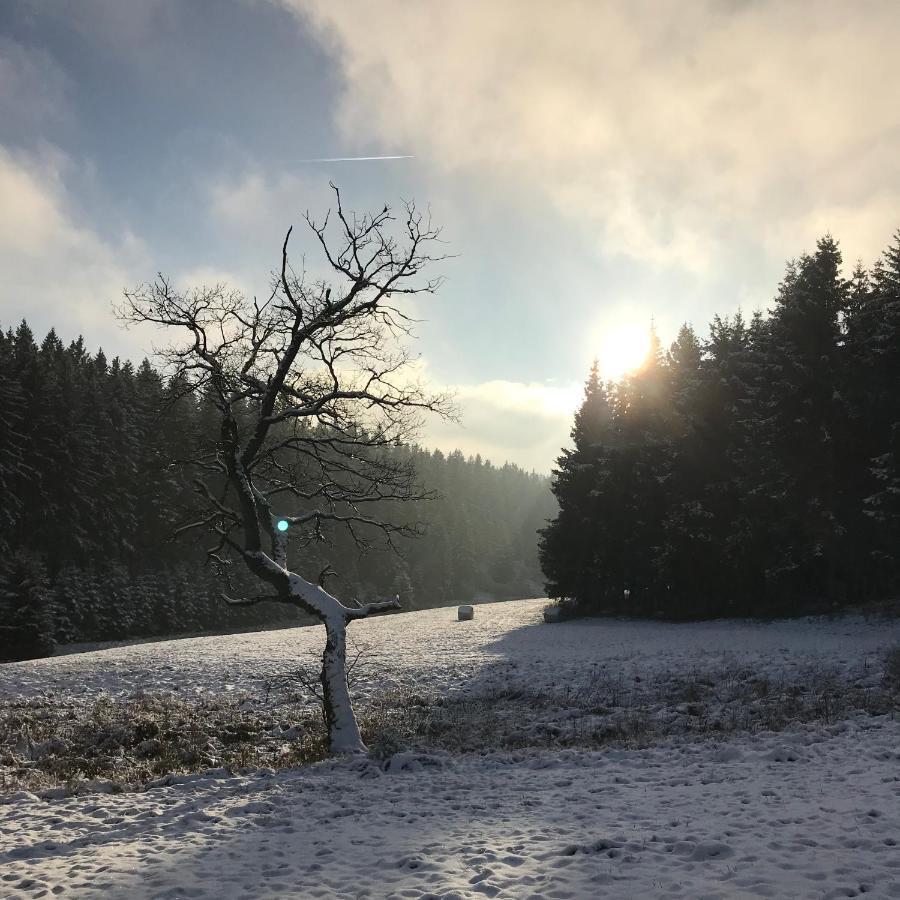 Chalet De Charme, Le "Caribou Lodge", Eifel Belge 比林根 外观 照片
