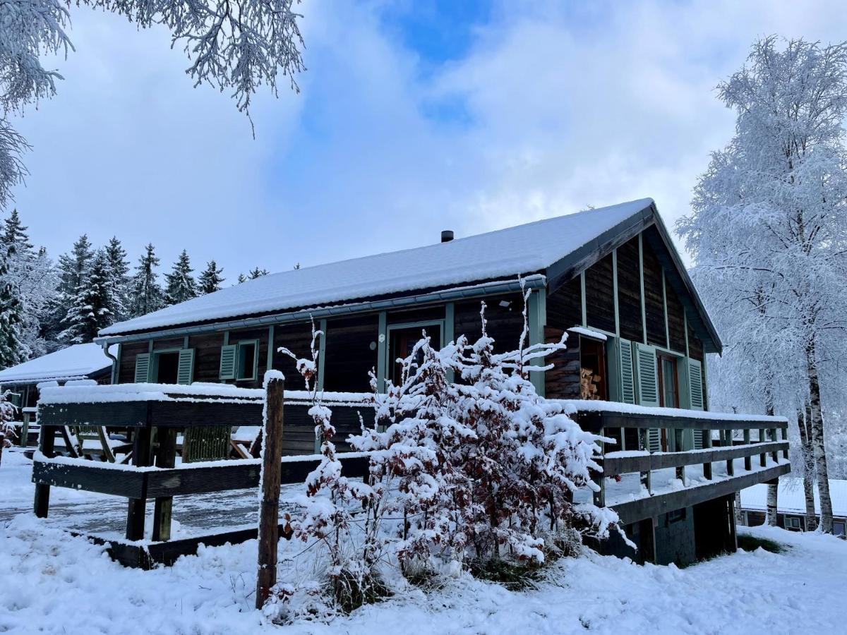 Chalet De Charme, Le "Caribou Lodge", Eifel Belge 比林根 外观 照片